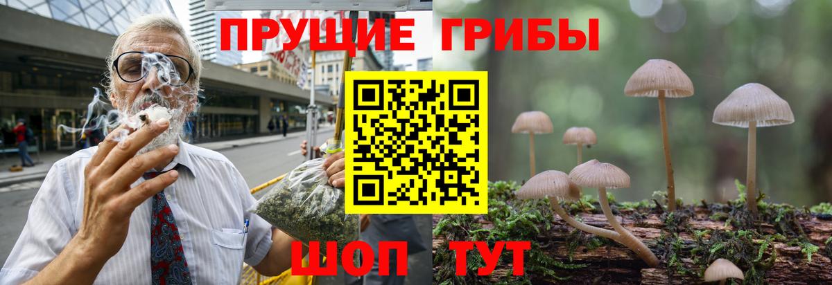 Учалы  Галлюциногенные грибы MAGIC MUSHROOMS  где купить наркоту  Вход с VPN 